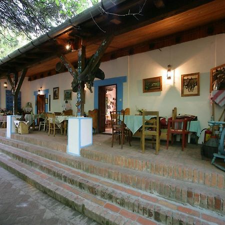 Salas 137 Hotel Cenej Esterno foto