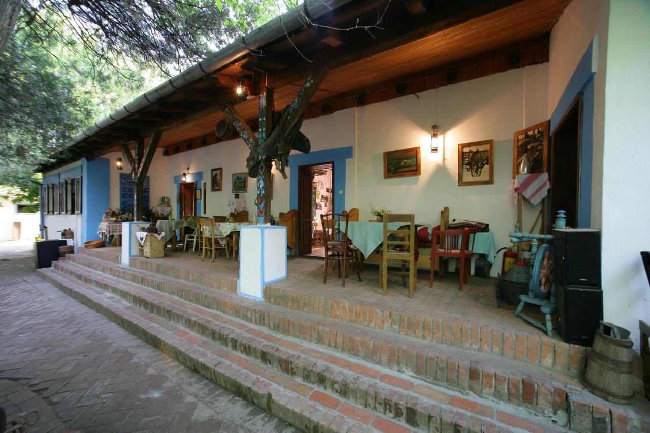 Salas 137 Hotel Cenej Esterno foto